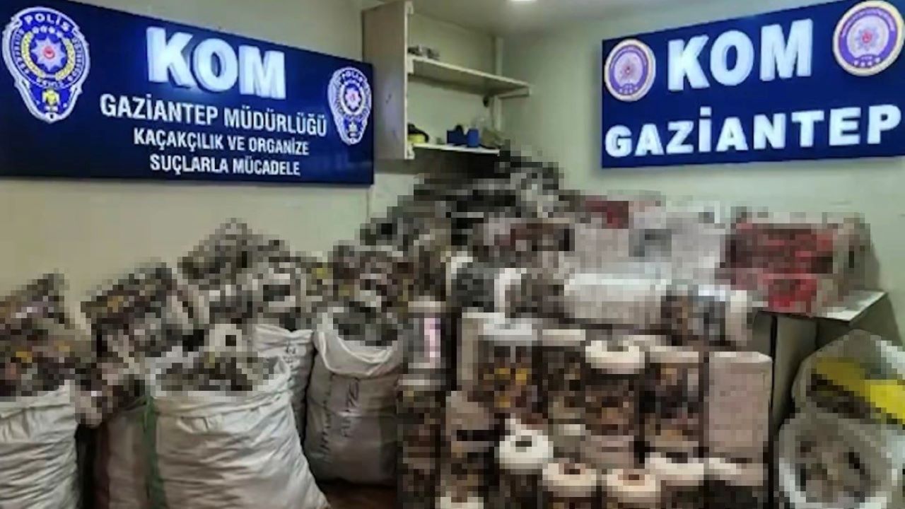 Gaziantep’te Depoya Baskın! 14 Bin Paket Kaçak Sigara Ele Geçirildi